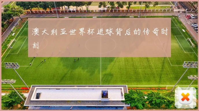 澳大利亚世界杯进球背后的传奇时刻